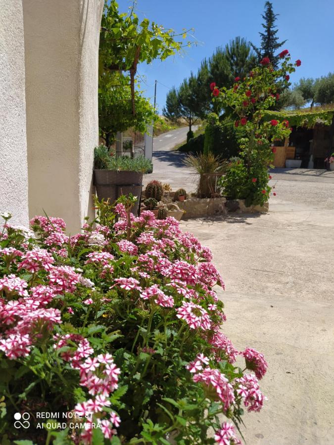 B&B Troisi Racalmuto Kültér fotó